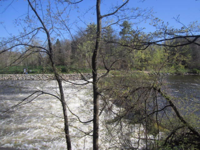 17435 Foster Road Wellston, MI 49689 - Photo 36 of 43 Manistee River at Tippy Dam