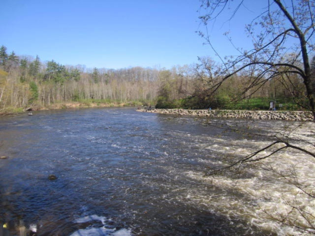 17435 Foster Road Wellston, MI 49689 - Photo 37 of 43 Manistee River at Tippy Dam