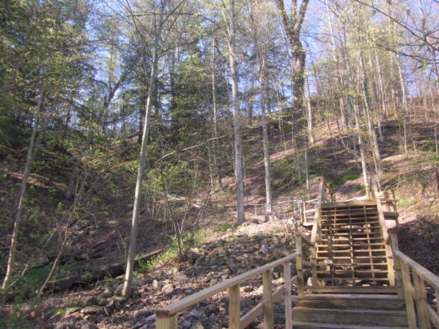 17435 Foster Road Wellston, MI 49689 - Photo 39 of 43 Stairs to River