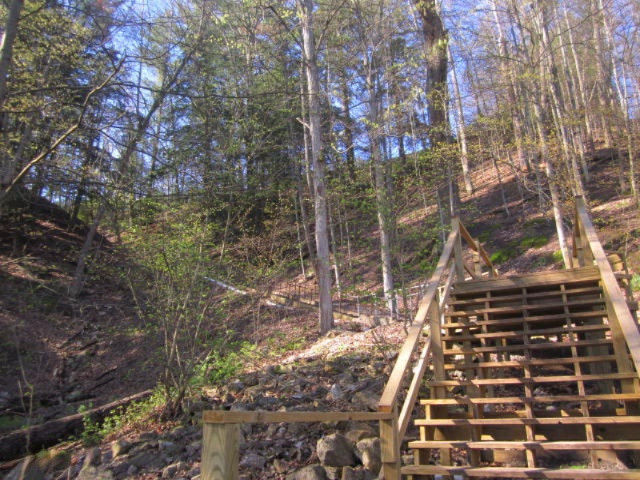 17435 Foster Road Wellston, MI 49689 - Photo 40 of 43 Stairs to River