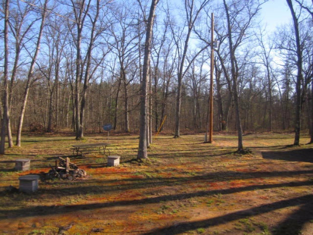 17435 Foster Road Wellston, MI 49689 - Photo 4 of 43 Front yard