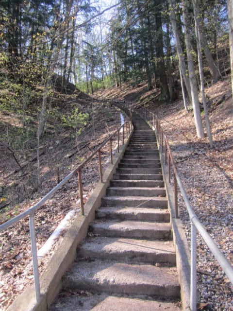 17435 Foster Road Wellston, MI 49689 - Photo 42 of 43 Stairs to River