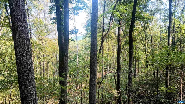 a view of outdoor space and garden