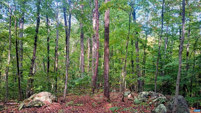 a backyard of a house with lots of plants and entertaining space