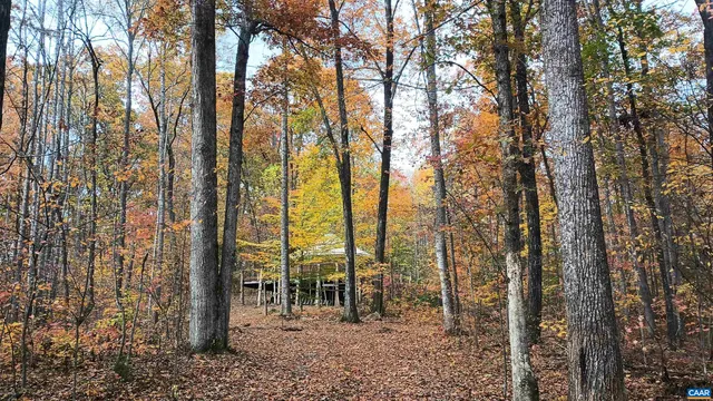 a view of a house with a tree