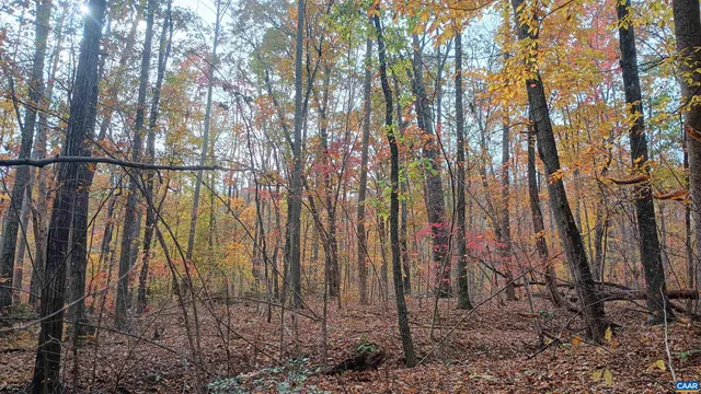 a view of a yard with plants and wooden fence