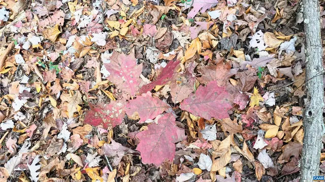 $205,000 | 15 Deer Run Lane, Shipman, VA 22971