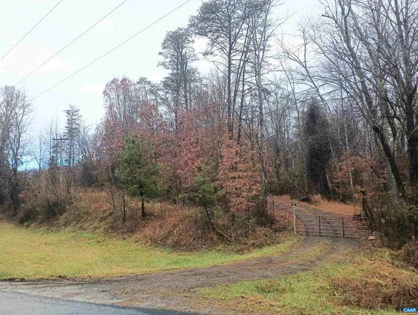 a view of a yard with large trees