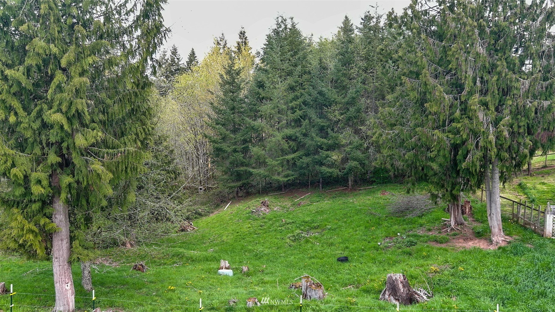 138 Lamprecht Road Winlock, WA 98596 - Photo 22 of 39 Gallery Image 22