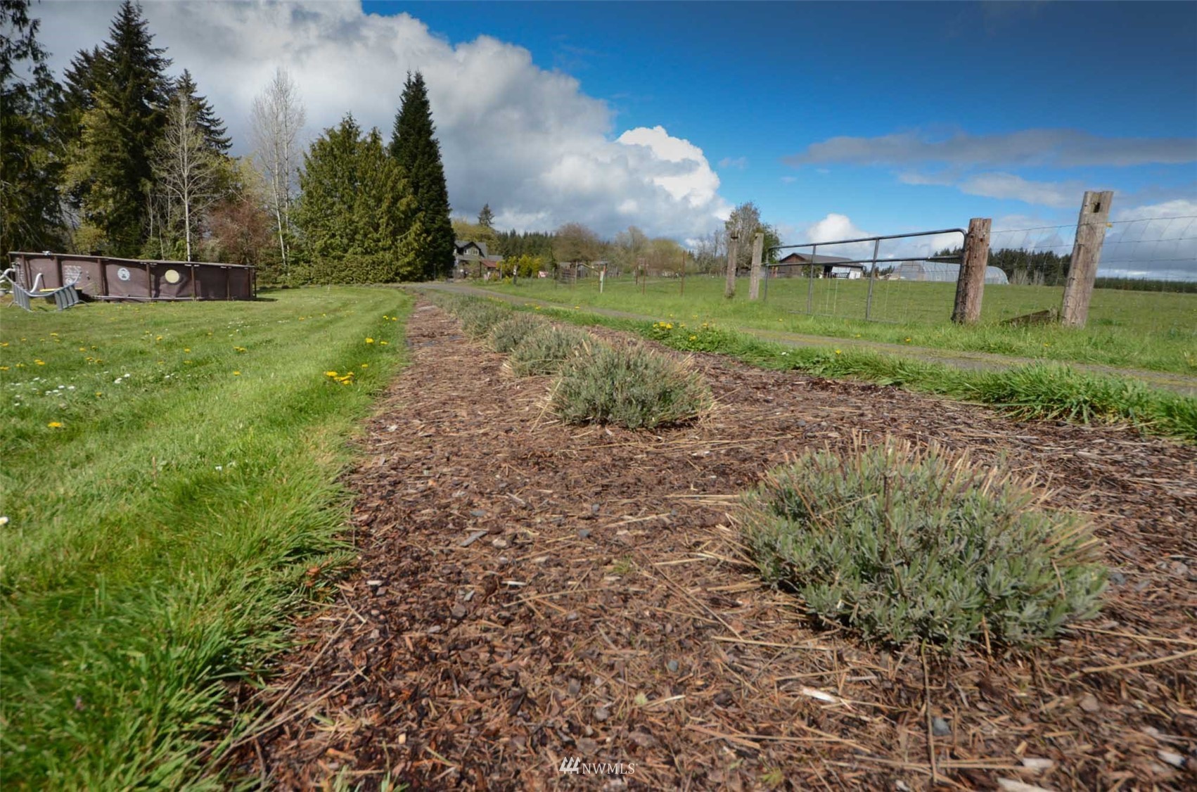 138 Lamprecht Road Winlock, WA 98596 - Photo 31 of 39 Gallery Image 31