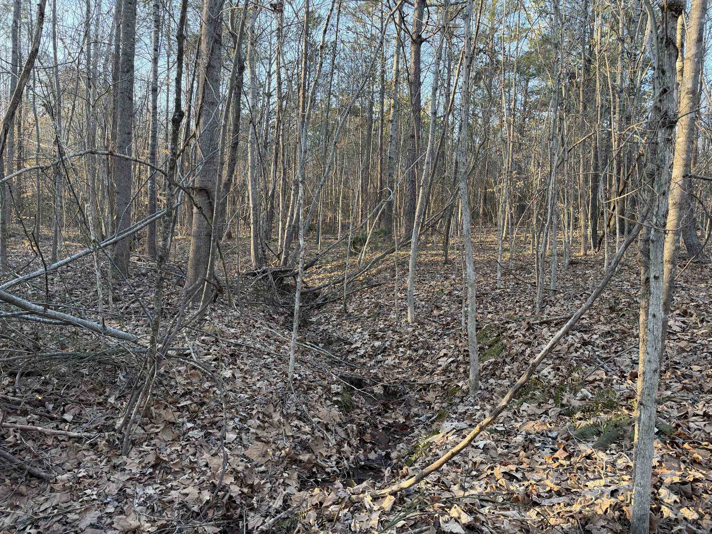 1 Old Union Road Adamsville, TN 38310 - Photo 12 of 25 Gallery Image 12