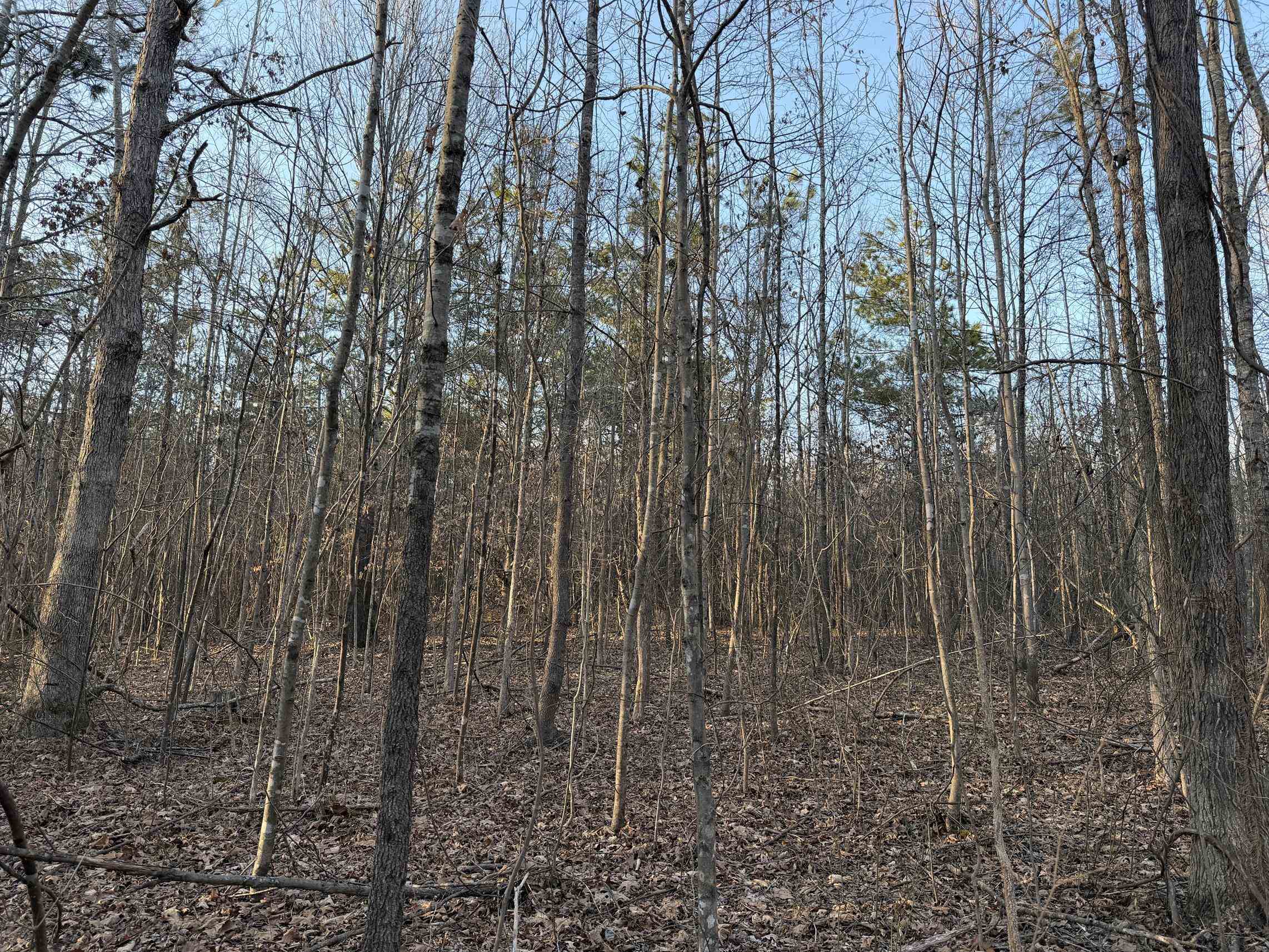 1 Old Union Road Adamsville, TN 38310 - Photo 14 of 25 Gallery Image 14