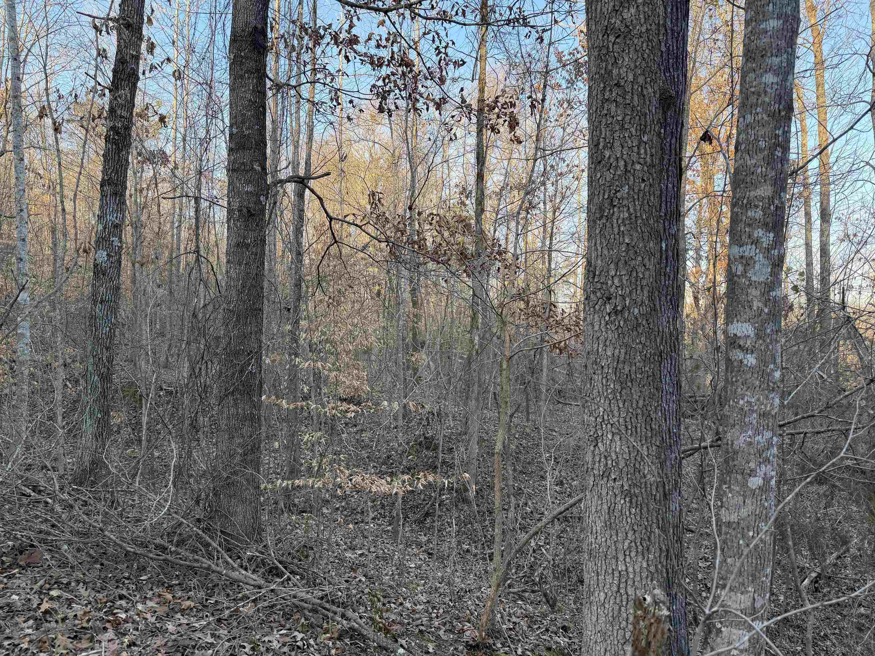 1 Old Union Road Adamsville, TN 38310 - Photo 17 of 25 Gallery Image 17