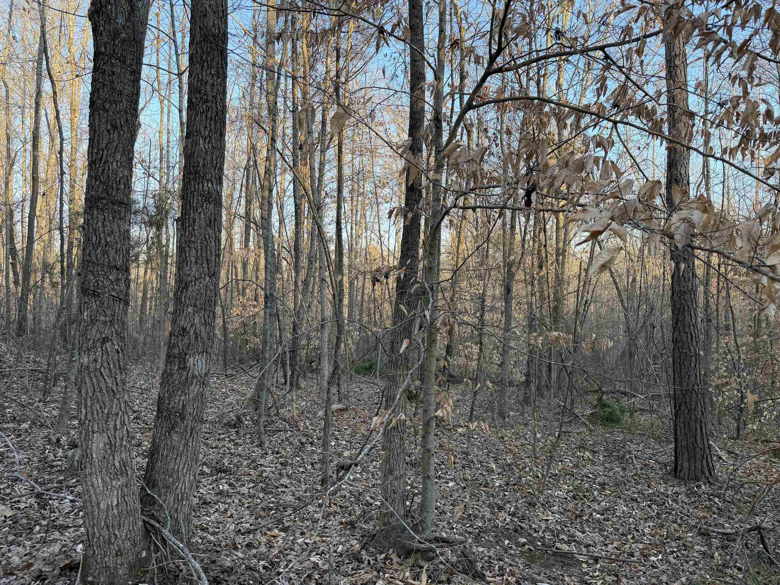 1 Old Union Road Adamsville, TN 38310 - Photo 18 of 25 Gallery Image 18