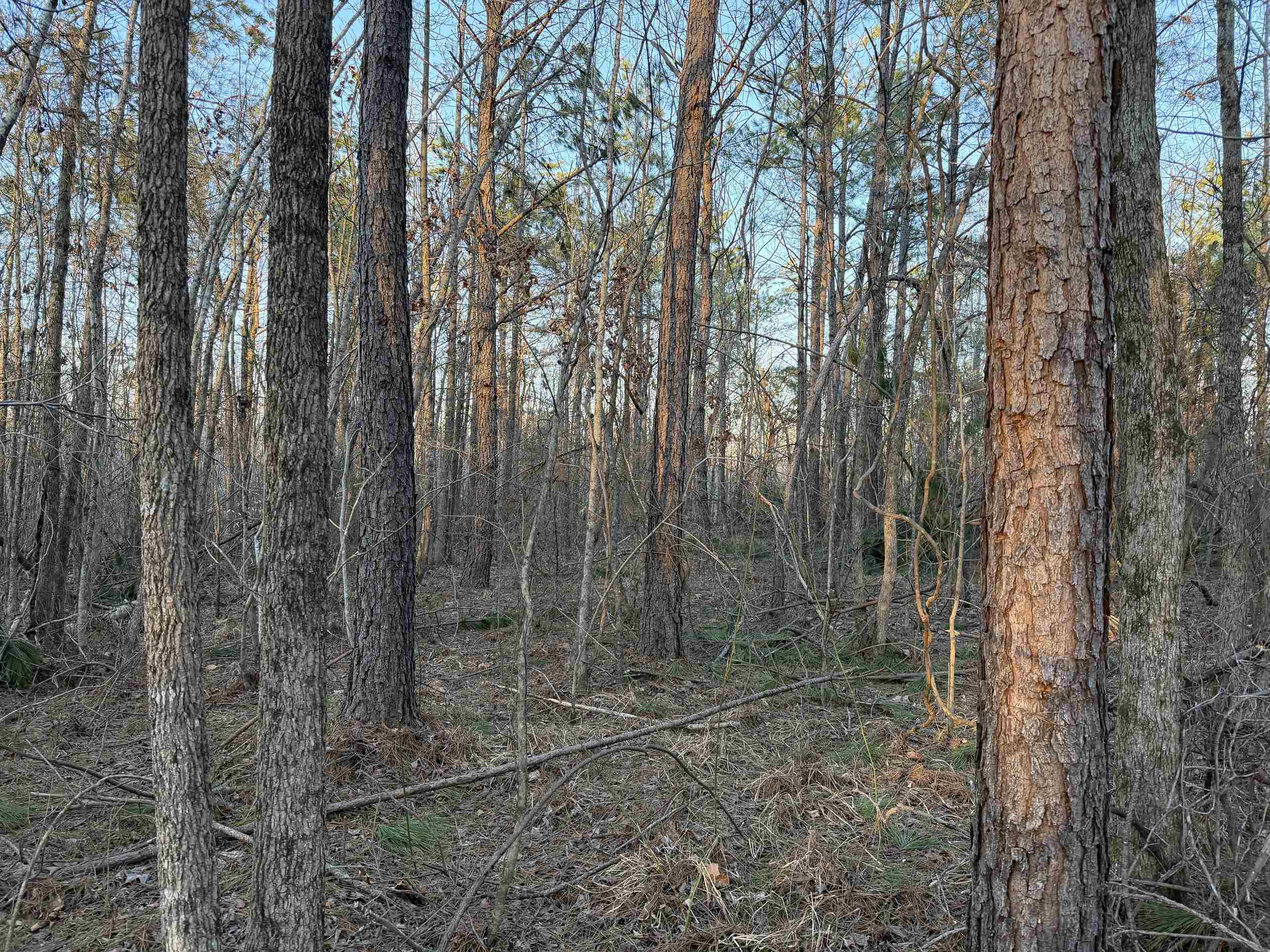 1 Old Union Road Adamsville, TN 38310 - Photo 21 of 25 Gallery Image 21