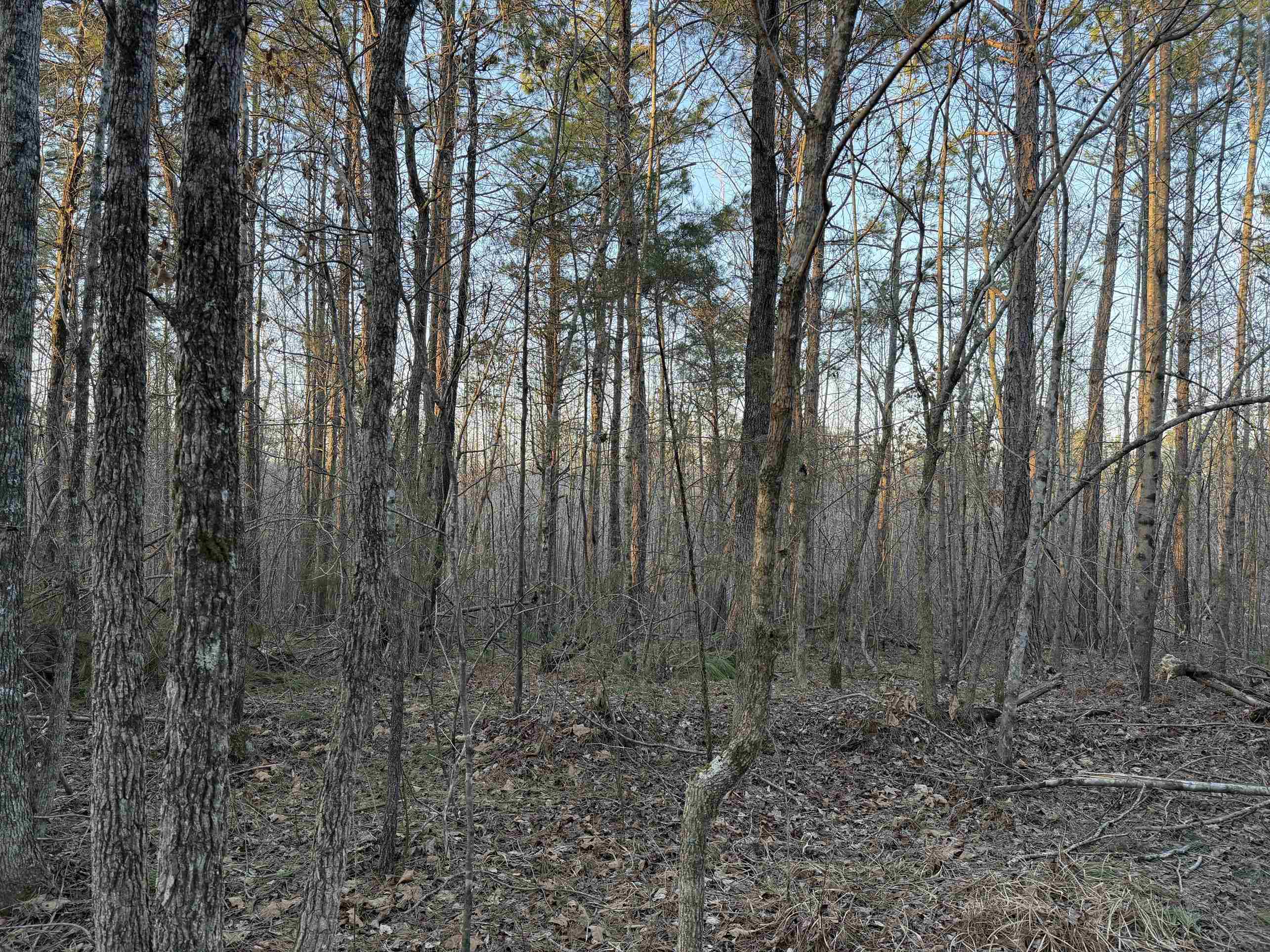 1 Old Union Road Adamsville, TN 38310 - Photo 22 of 25 Gallery Image 22