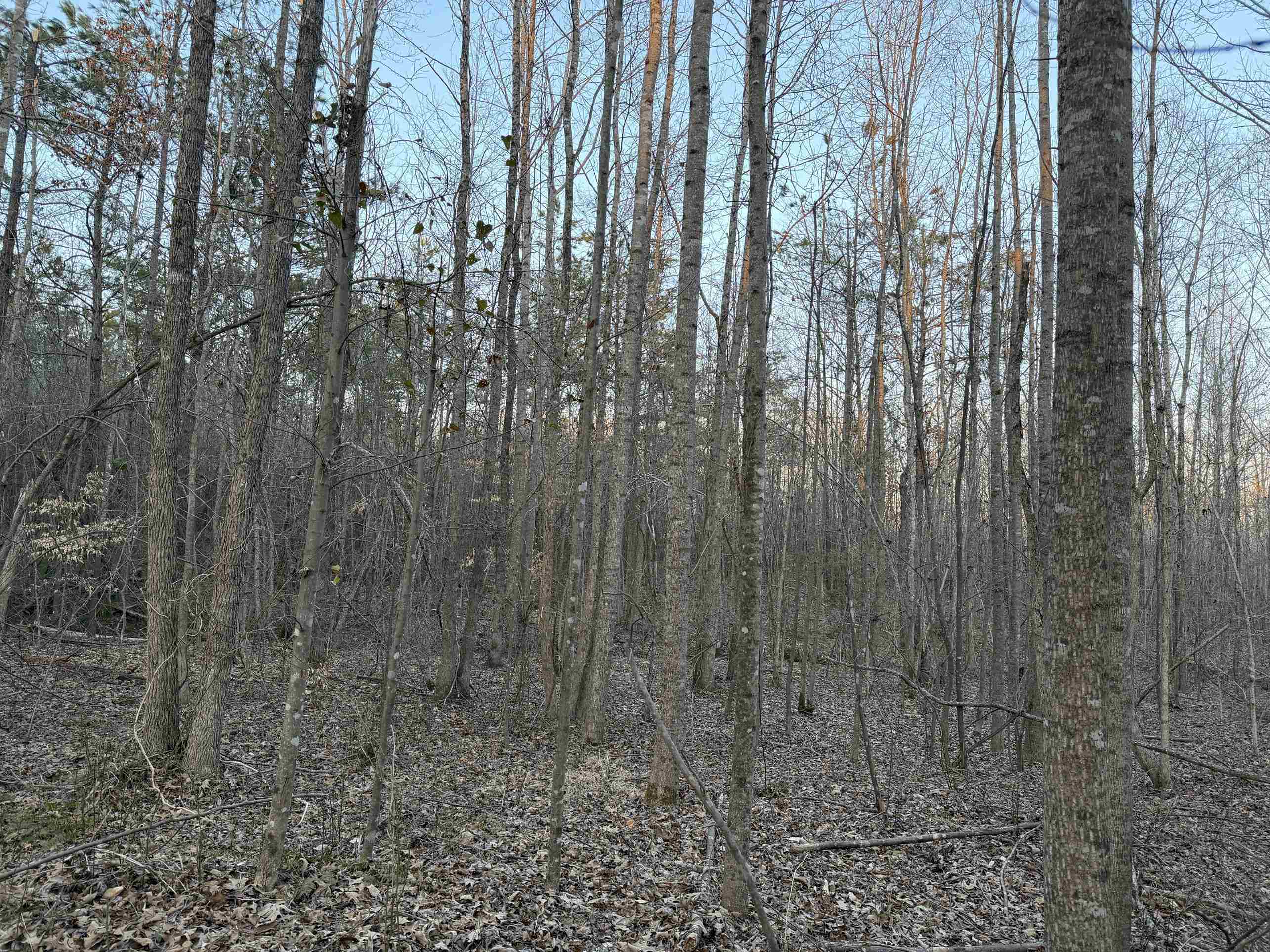1 Old Union Road Adamsville, TN 38310 - Photo 24 of 25 Gallery Image 24