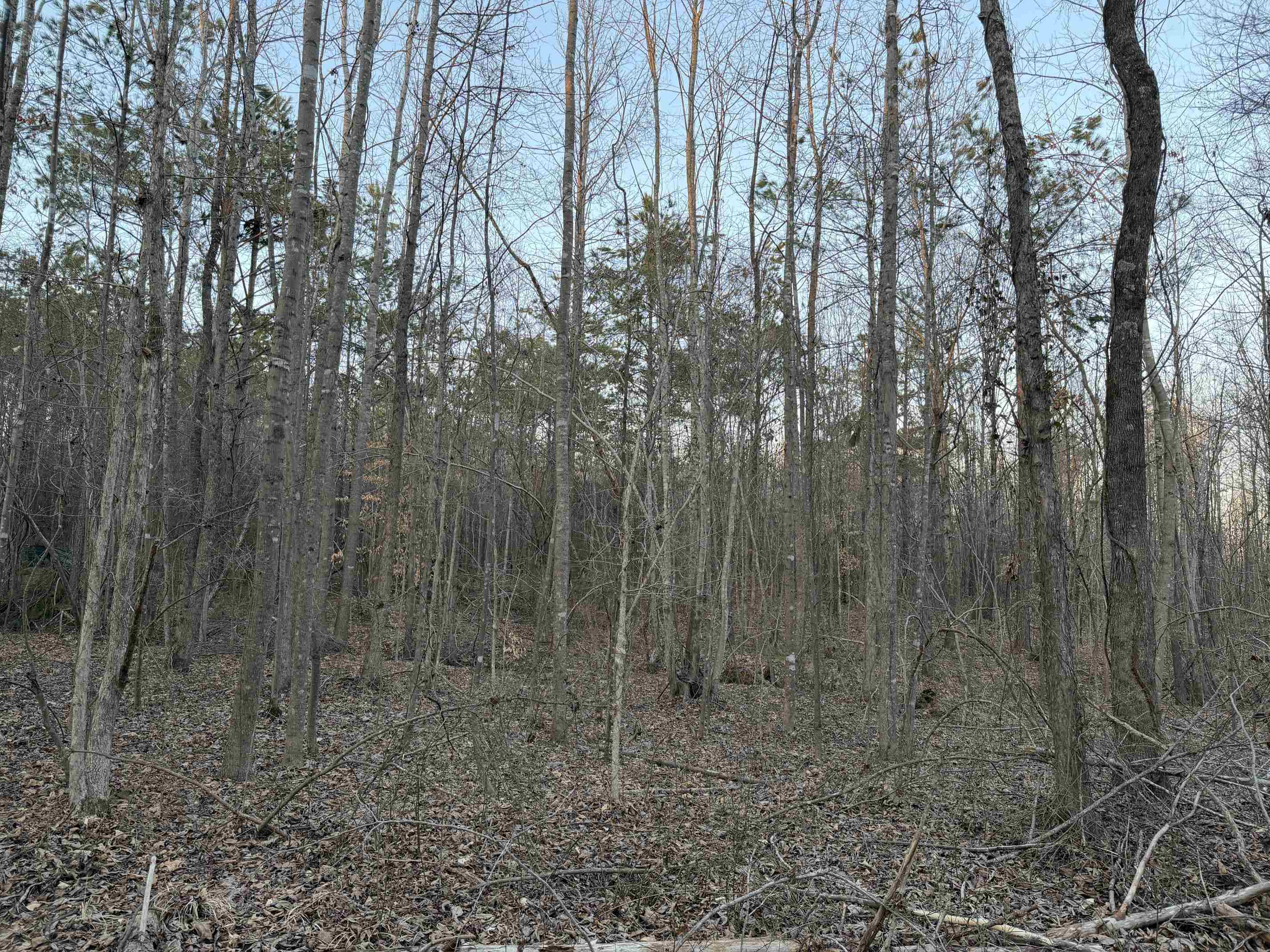 1 Old Union Road Adamsville, TN 38310 - Photo 25 of 25 Gallery Image 25