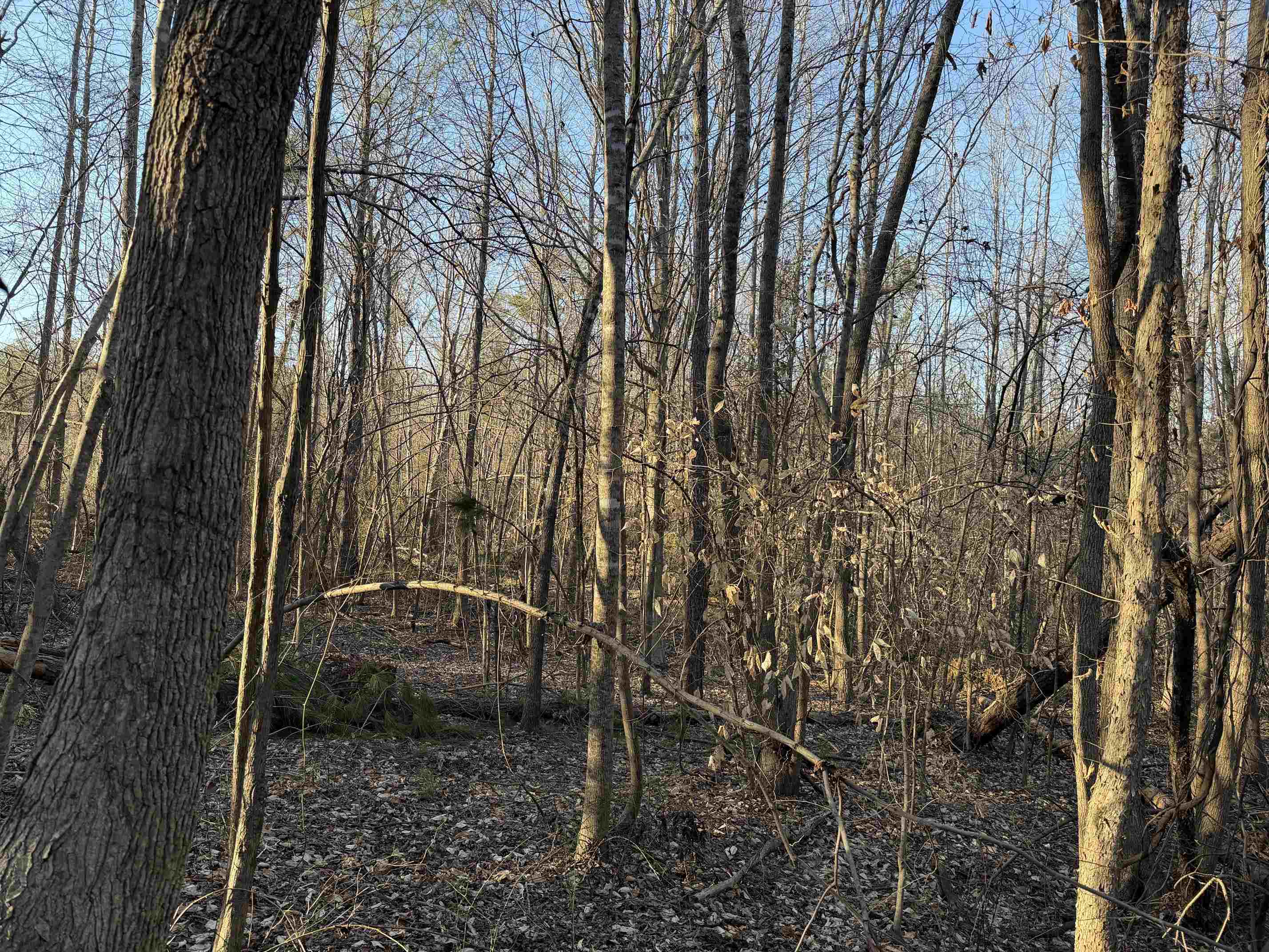 1 Old Union Road Adamsville, TN 38310 - Photo 7 of 25 Gallery Image 7