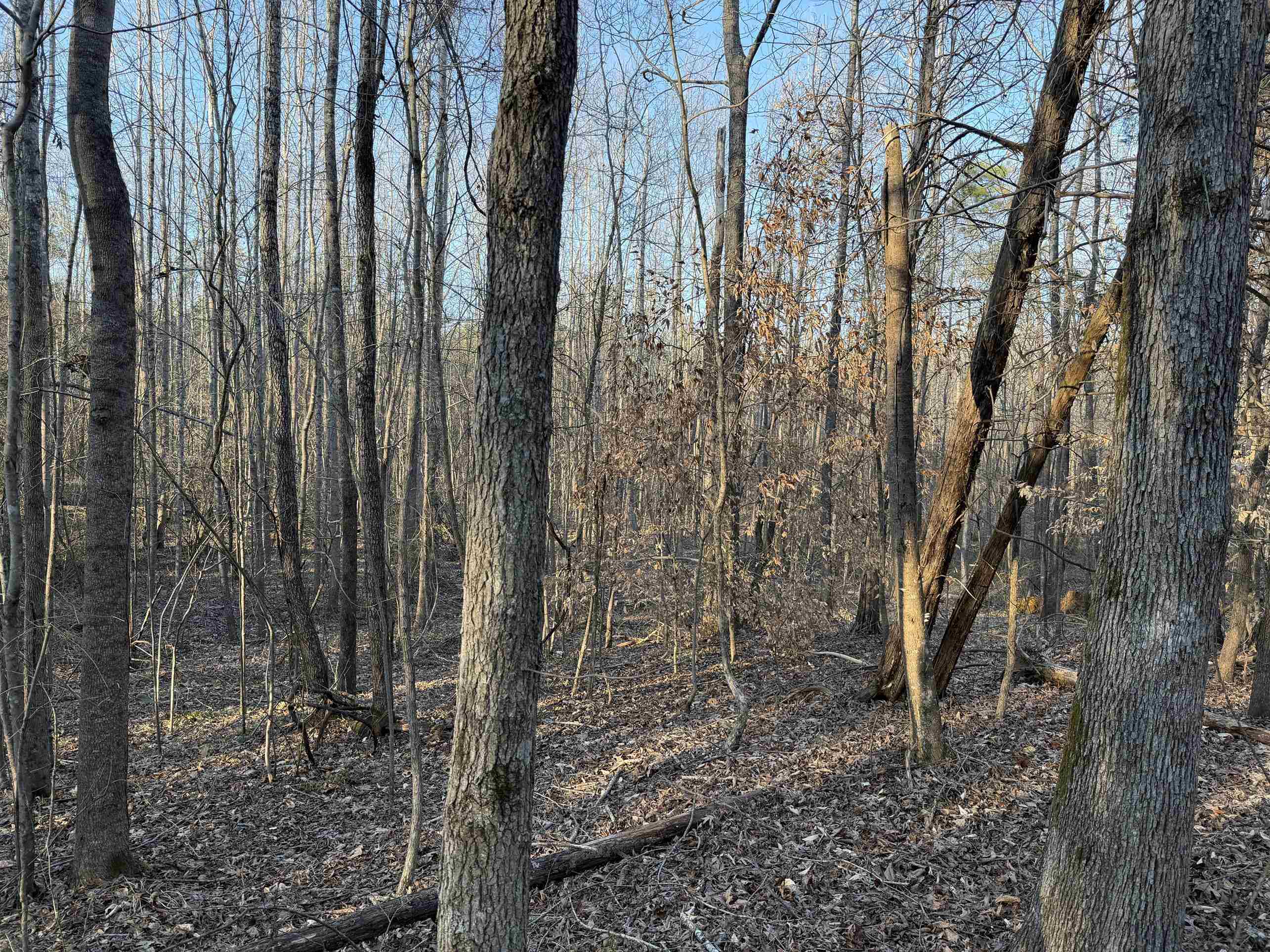 1 Old Union Road Adamsville, TN 38310 - Photo 9 of 25 Gallery Image 9