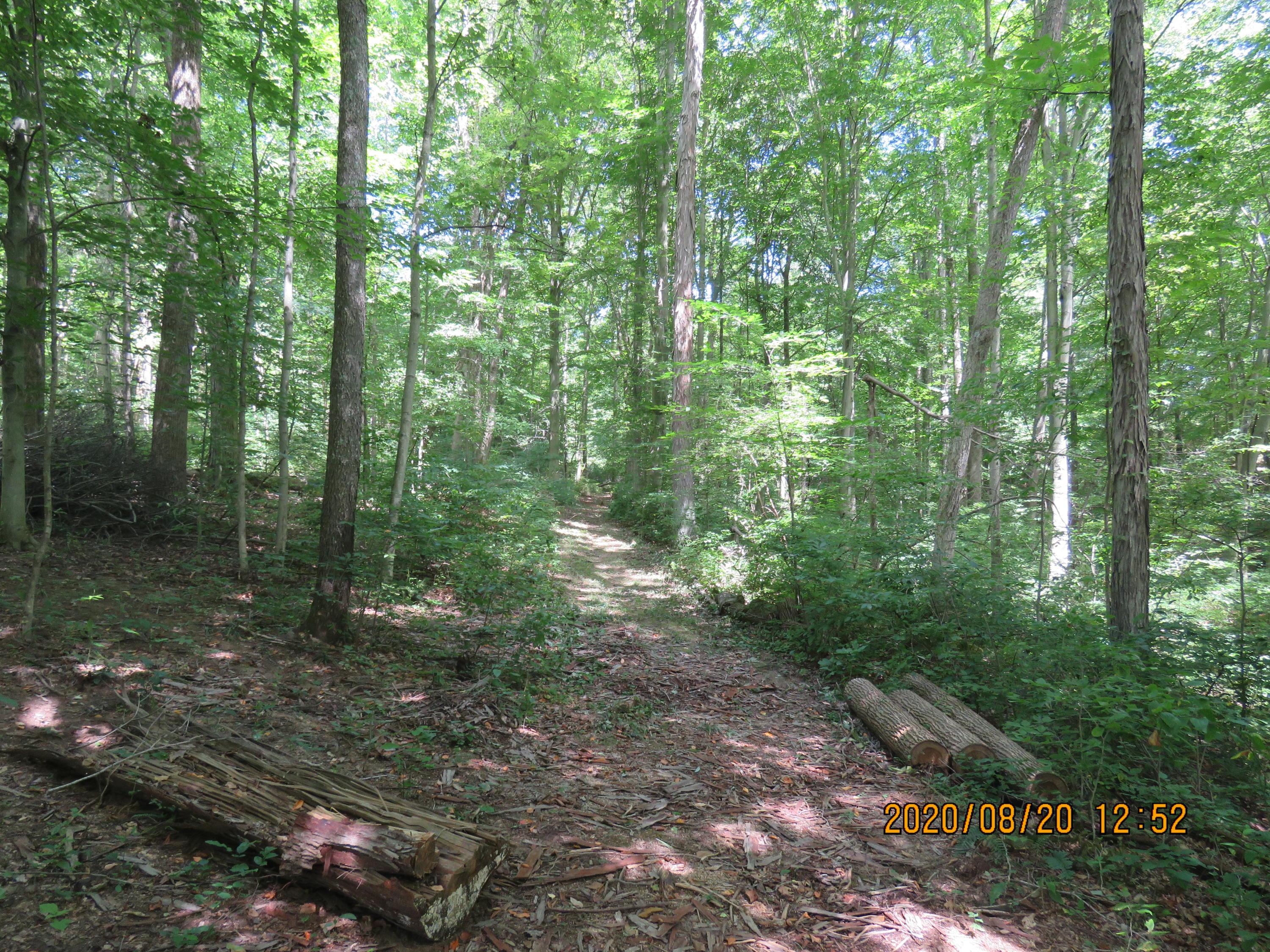 9078 Walnut Dowler Road Logan, OH 43138 - Photo 46 of 49