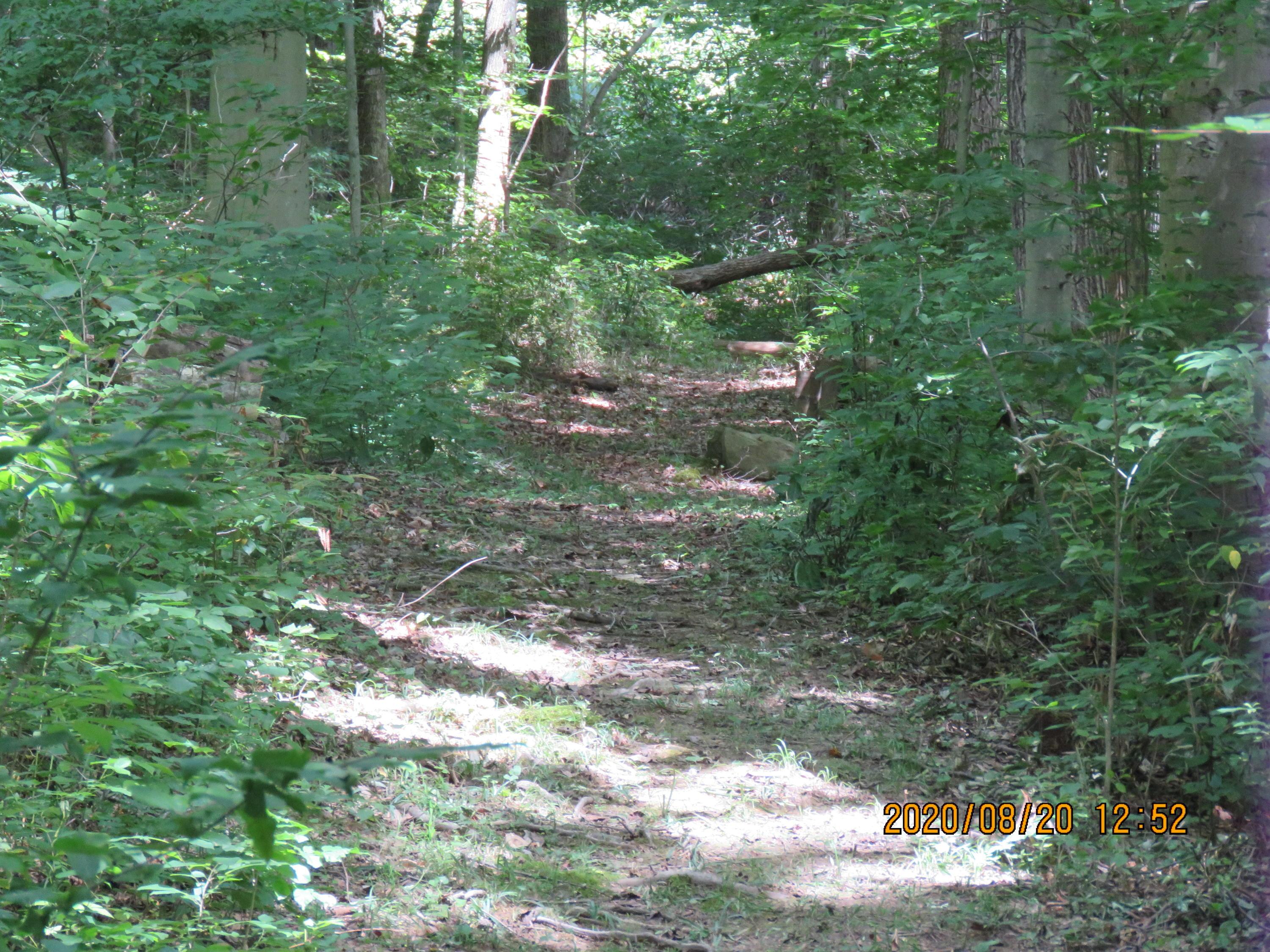 9078 Walnut Dowler Road Logan, OH 43138 - Photo 47 of 49