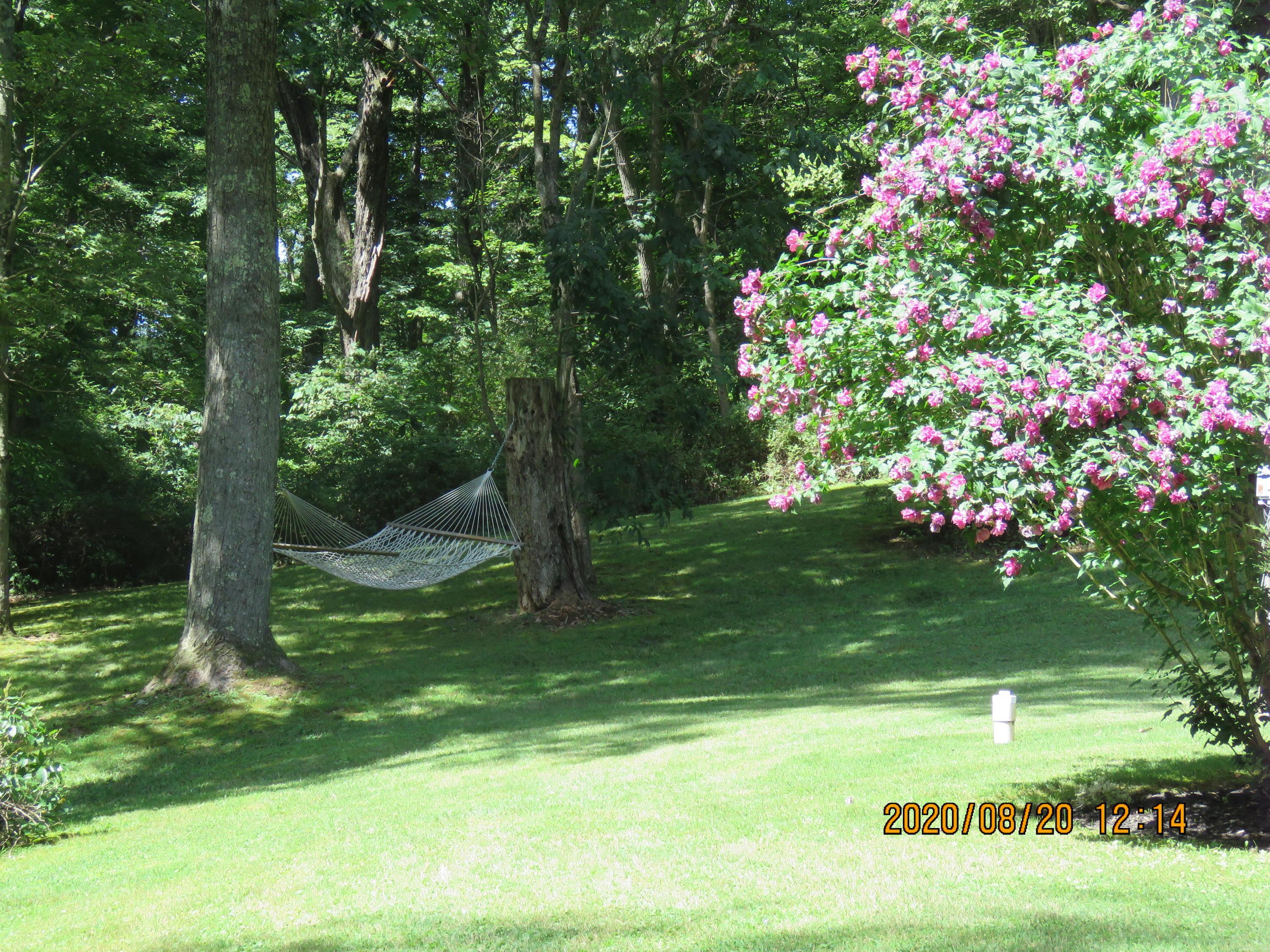 9078 Walnut Dowler Road Logan, OH 43138 - Photo 9 of 49
