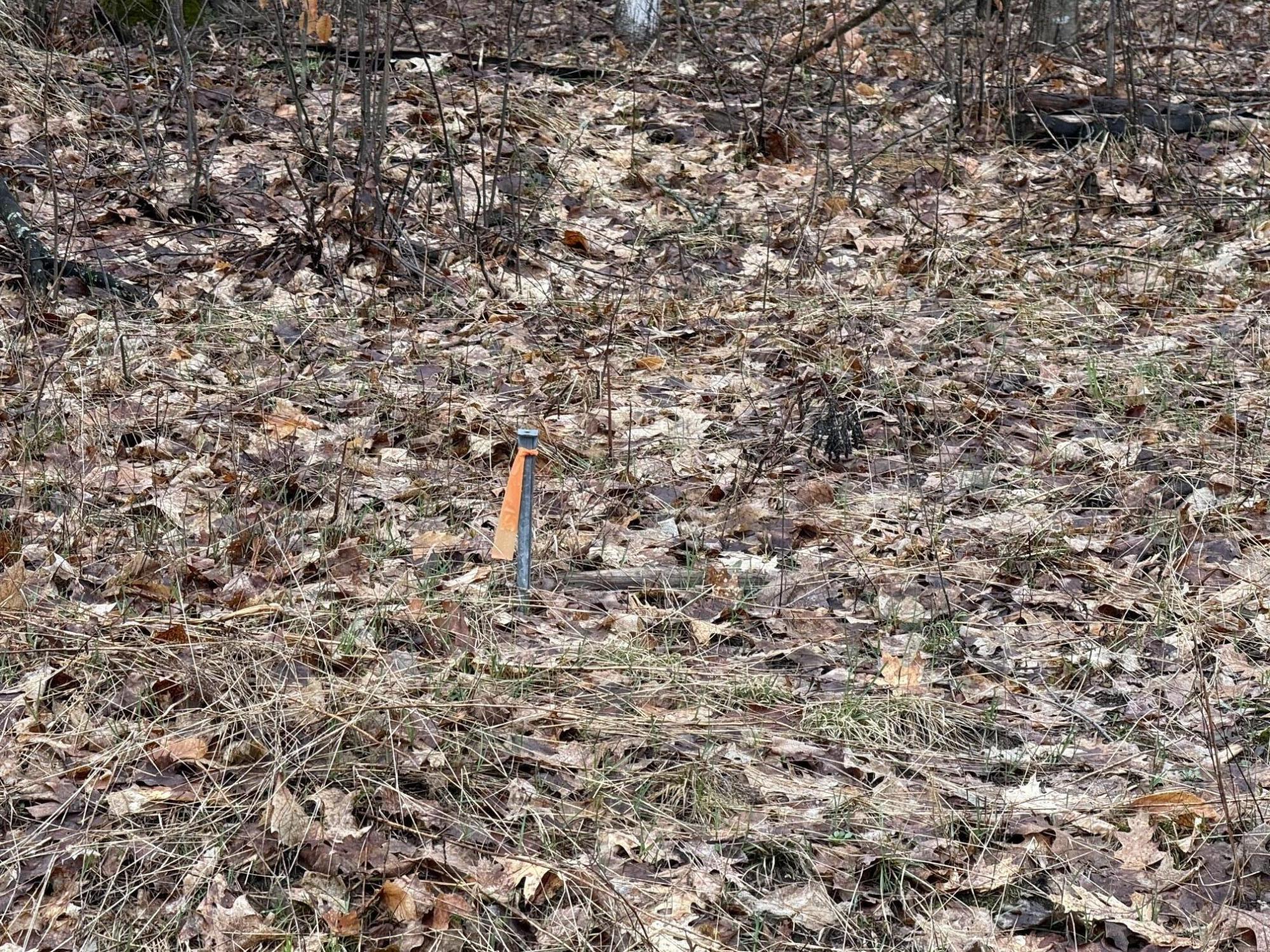 0 North Van Dermullen Road Lake City, MI 49651 - Photo 8 of 9 7 - Copy