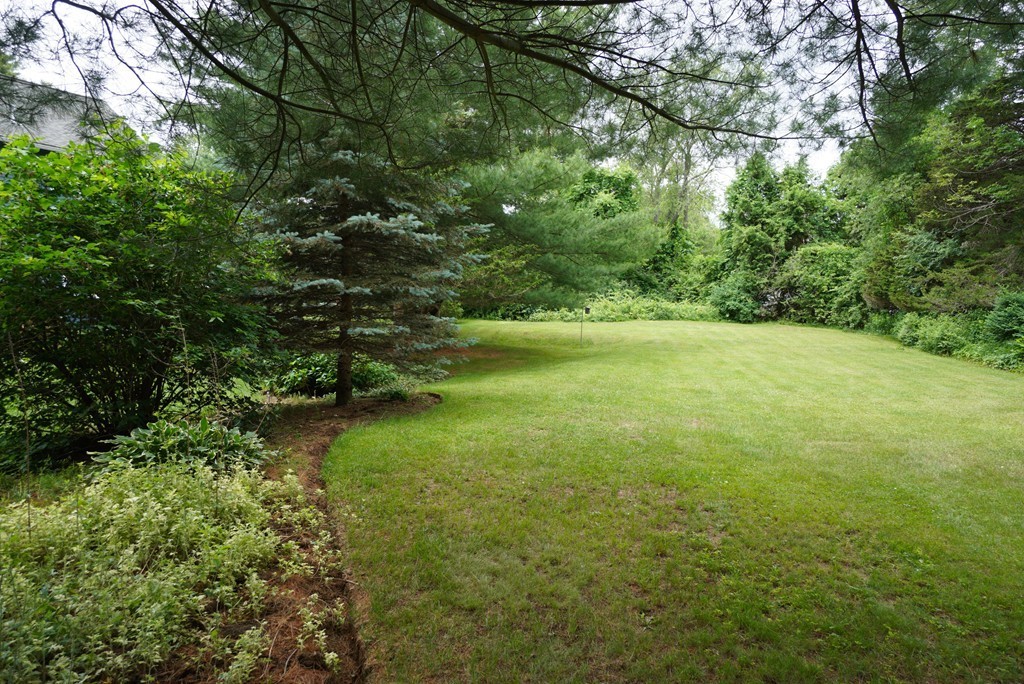 10 Deerfield Road Medway, MA 02053 - Photo 28 of 29 Gallery Image 28