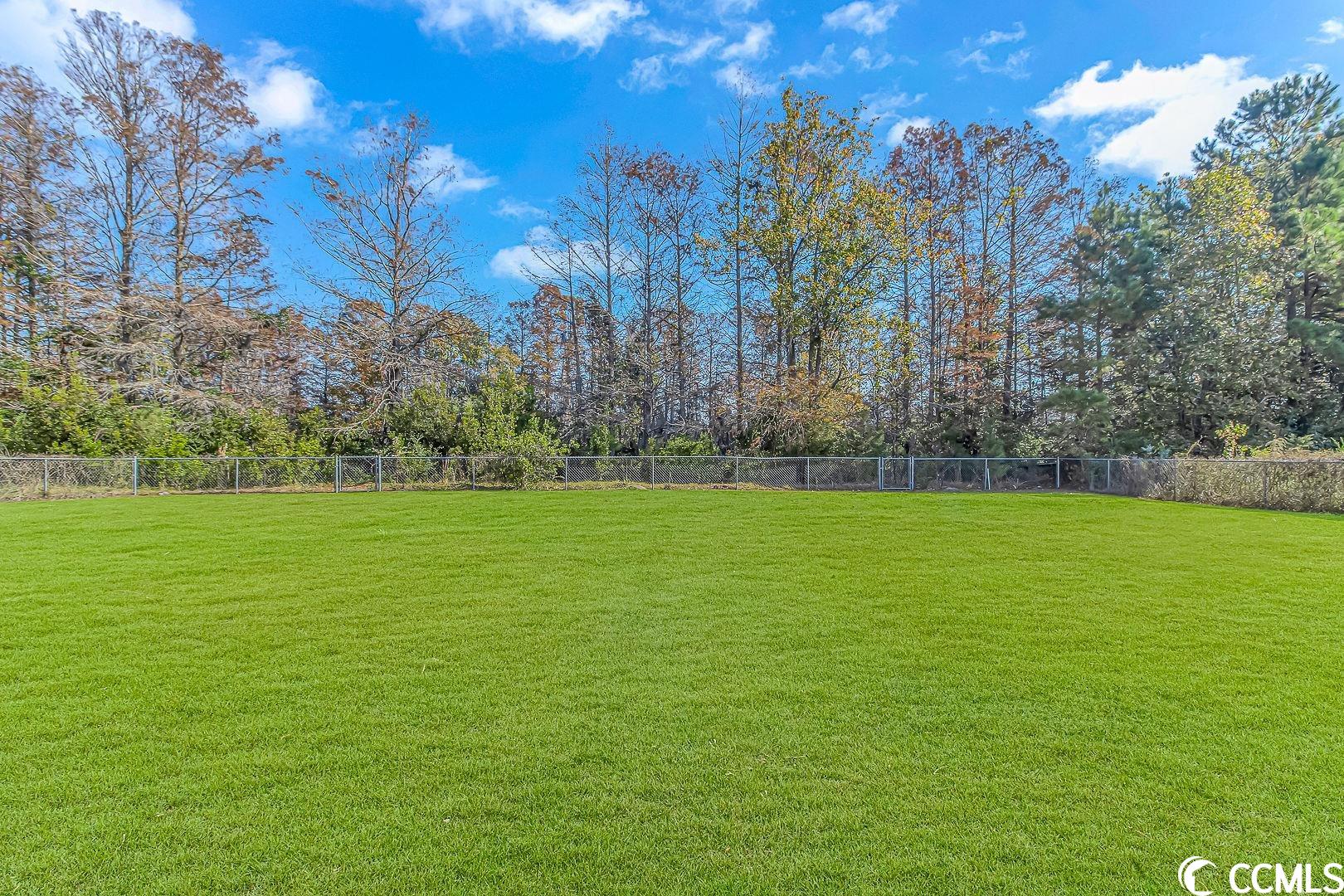6587 Charlies Road Conway, SC 29527 - Photo 26 of 37 Gallery Image 26