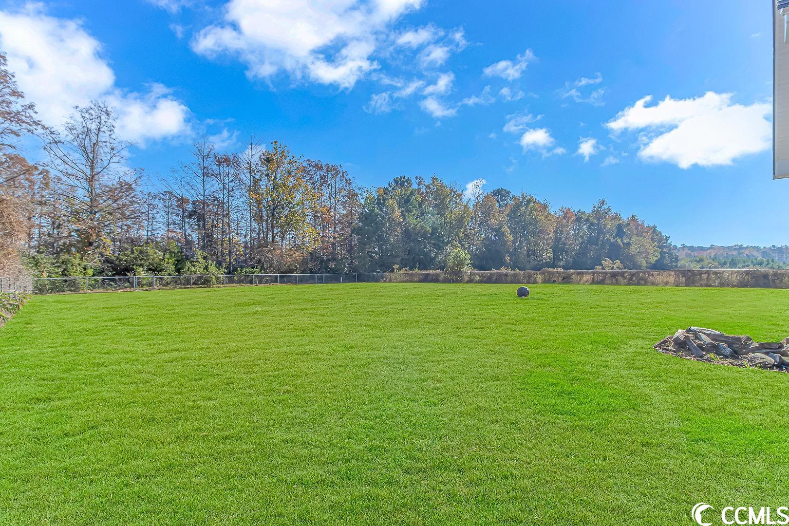 6587 Charlies Road Conway, SC 29527 - Photo 29 of 37 Gallery Image 29