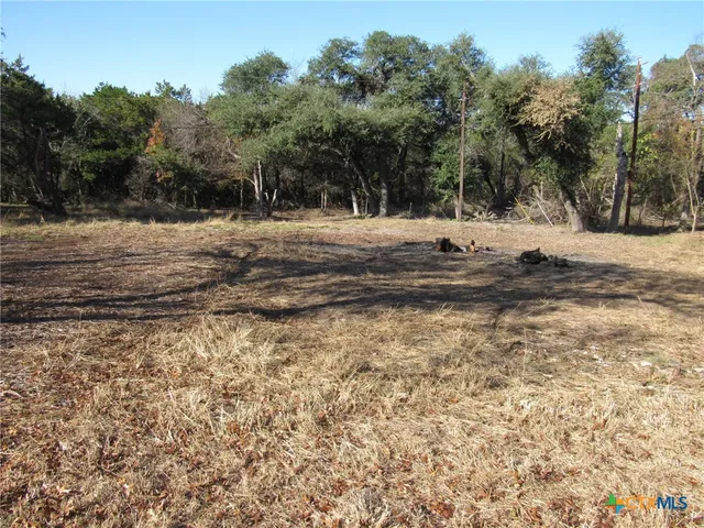 a view of side of snow with trees