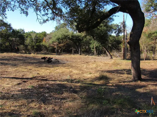 a view of a yard with trees