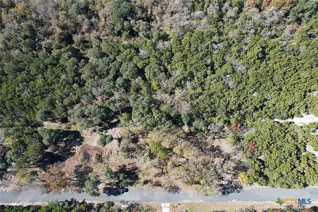 a view of a yard with plants and wooden fence