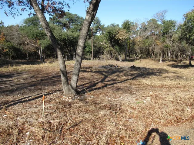 a view of road and trees