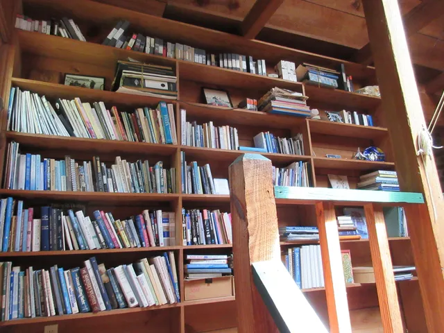 $2,000 | 10043 North Carolina Road, McClellanville, SC 29458