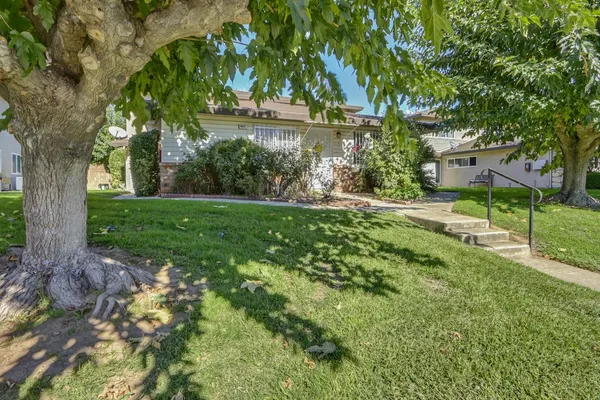 a view of a backyard with large trees