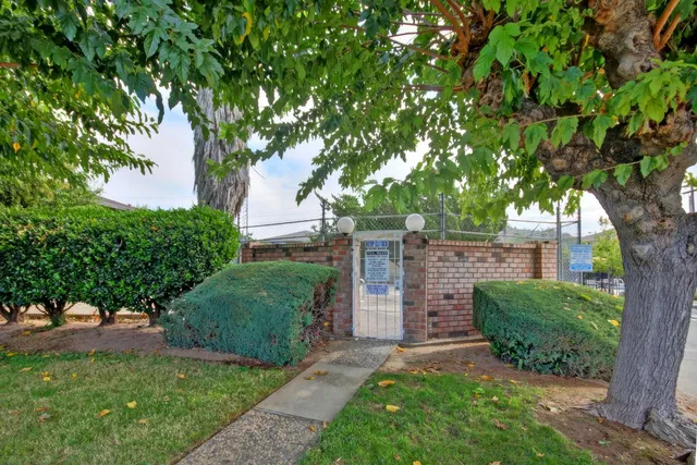 a view of a backyard