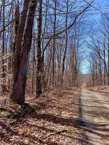 $225,000 | South Road, Norwich, NY 13815