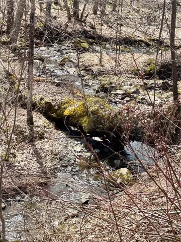 $225,000 | South Road, Norwich, NY 13815