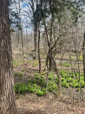 $225,000 | South Road, Norwich, NY 13815