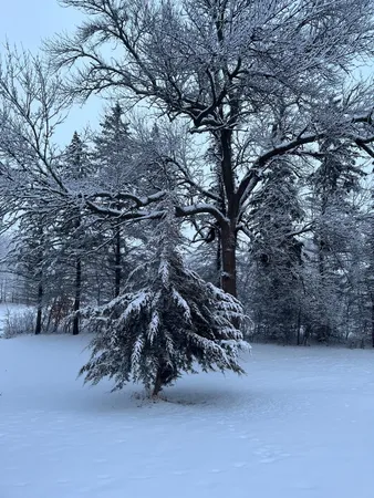 $679,000 | 3375 County Road 90, Maple Plain, MN 55359