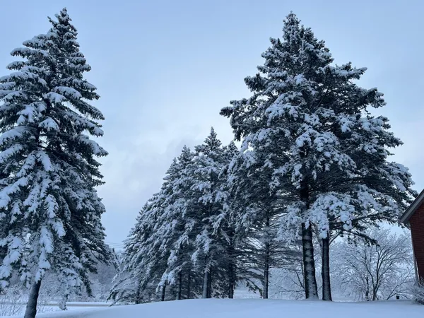 $679,000 | 3375 County Road 90, Maple Plain, MN 55359