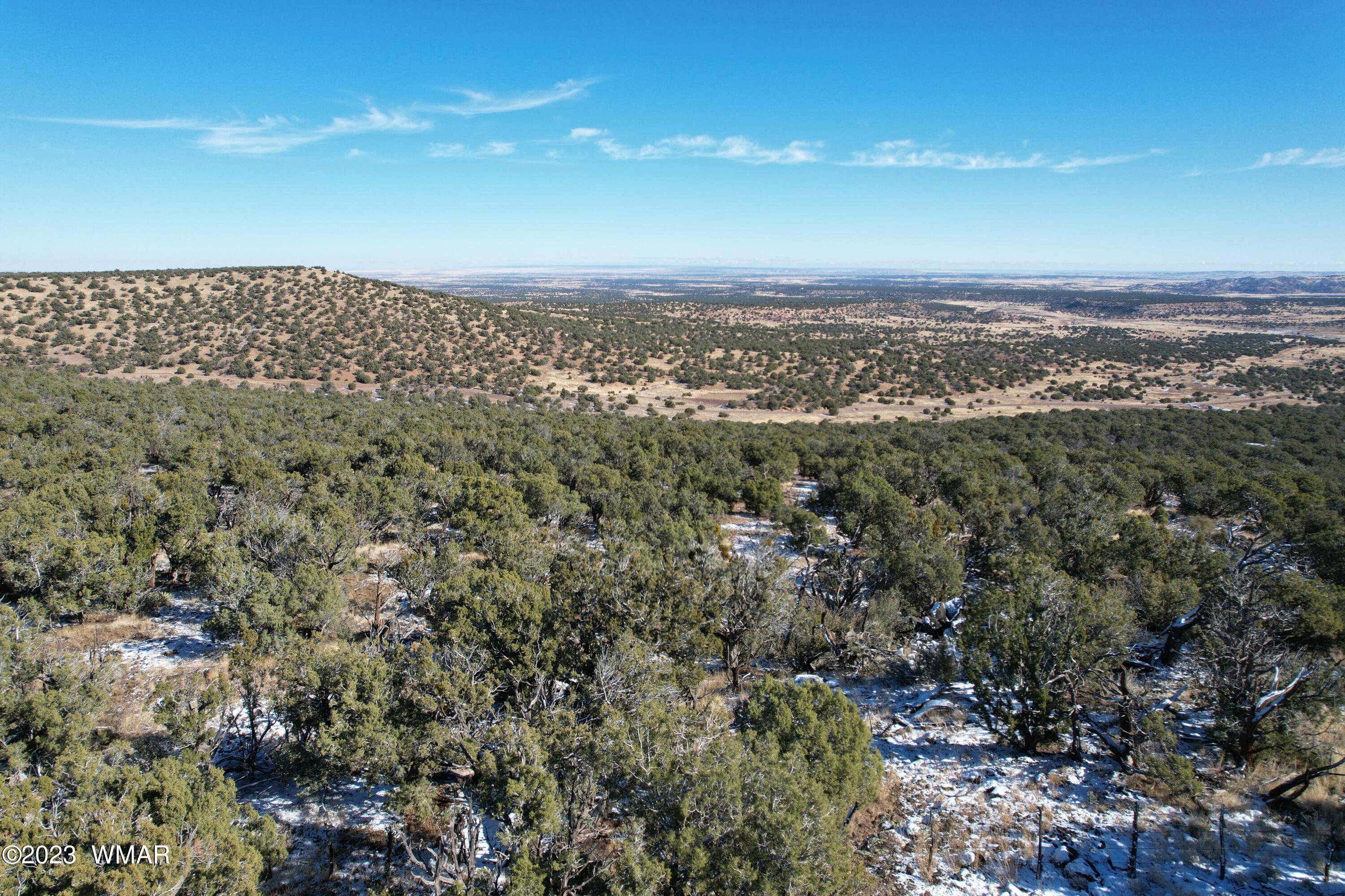 Pinon Pinon Valley Ranch Concho, AZ 85924 - Photo 1 of 42