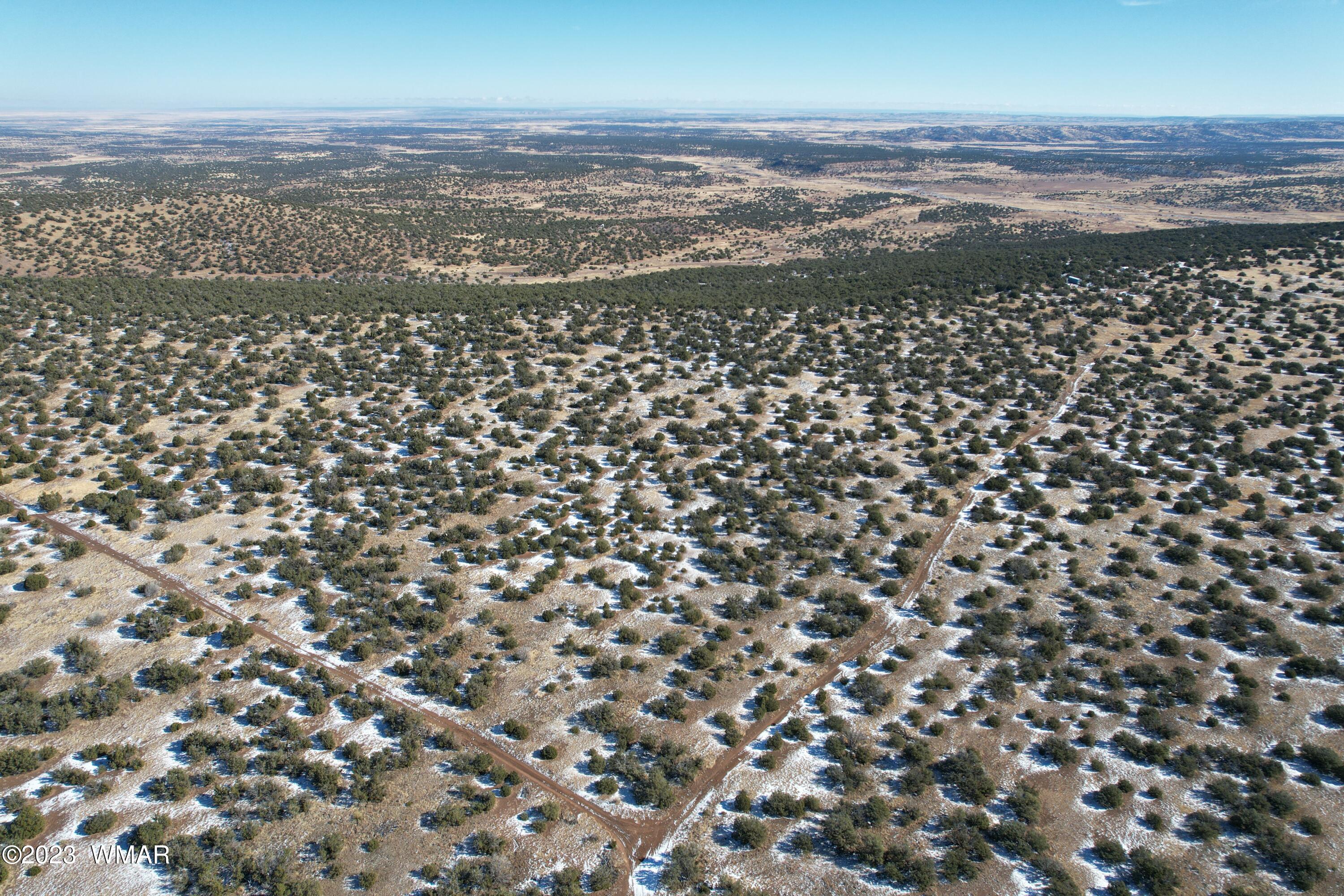 Pinon Pinon Valley Ranch Concho, AZ 85924 - Photo 11 of 42
