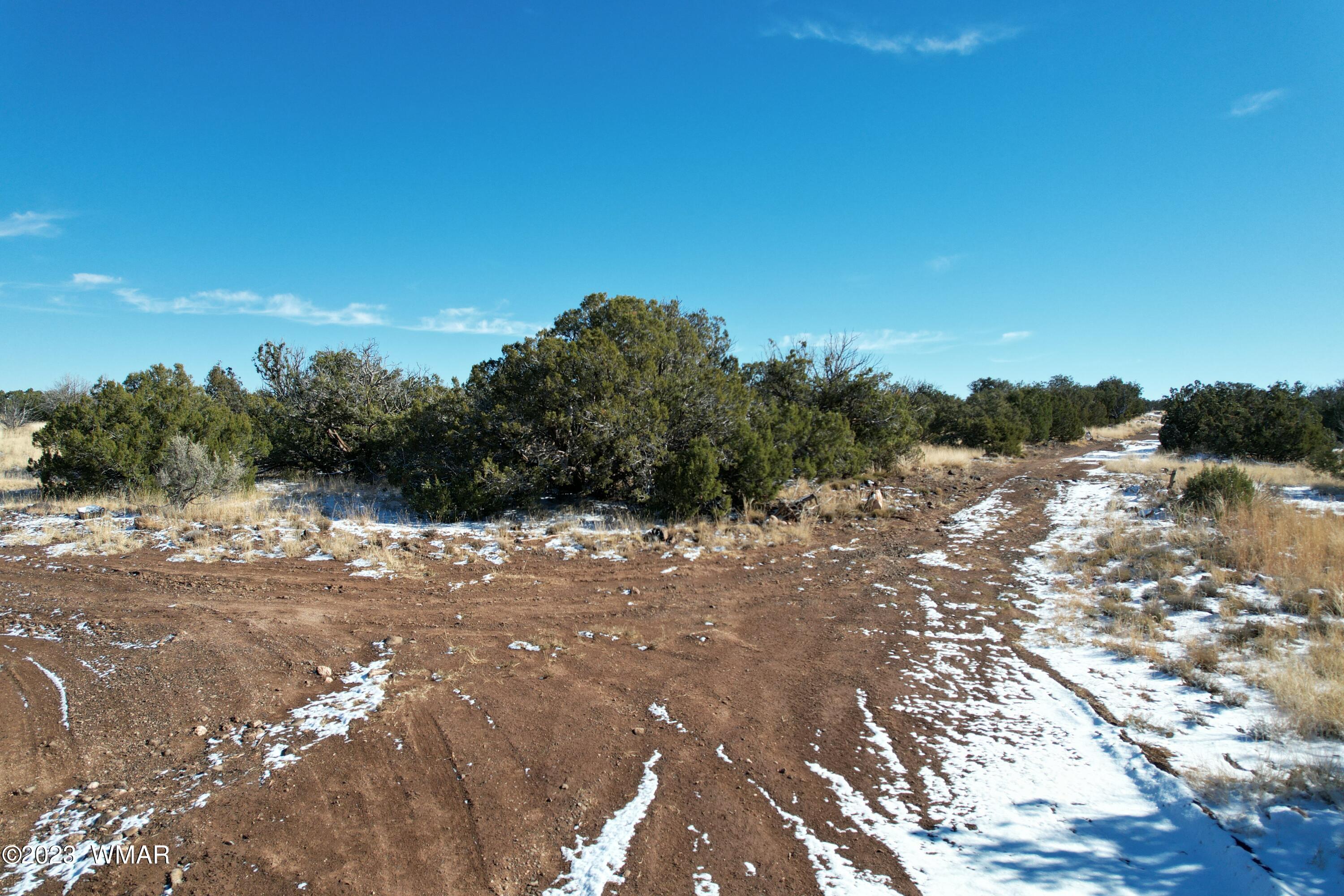 Pinon Pinon Valley Ranch Concho, AZ 85924 - Photo 14 of 42