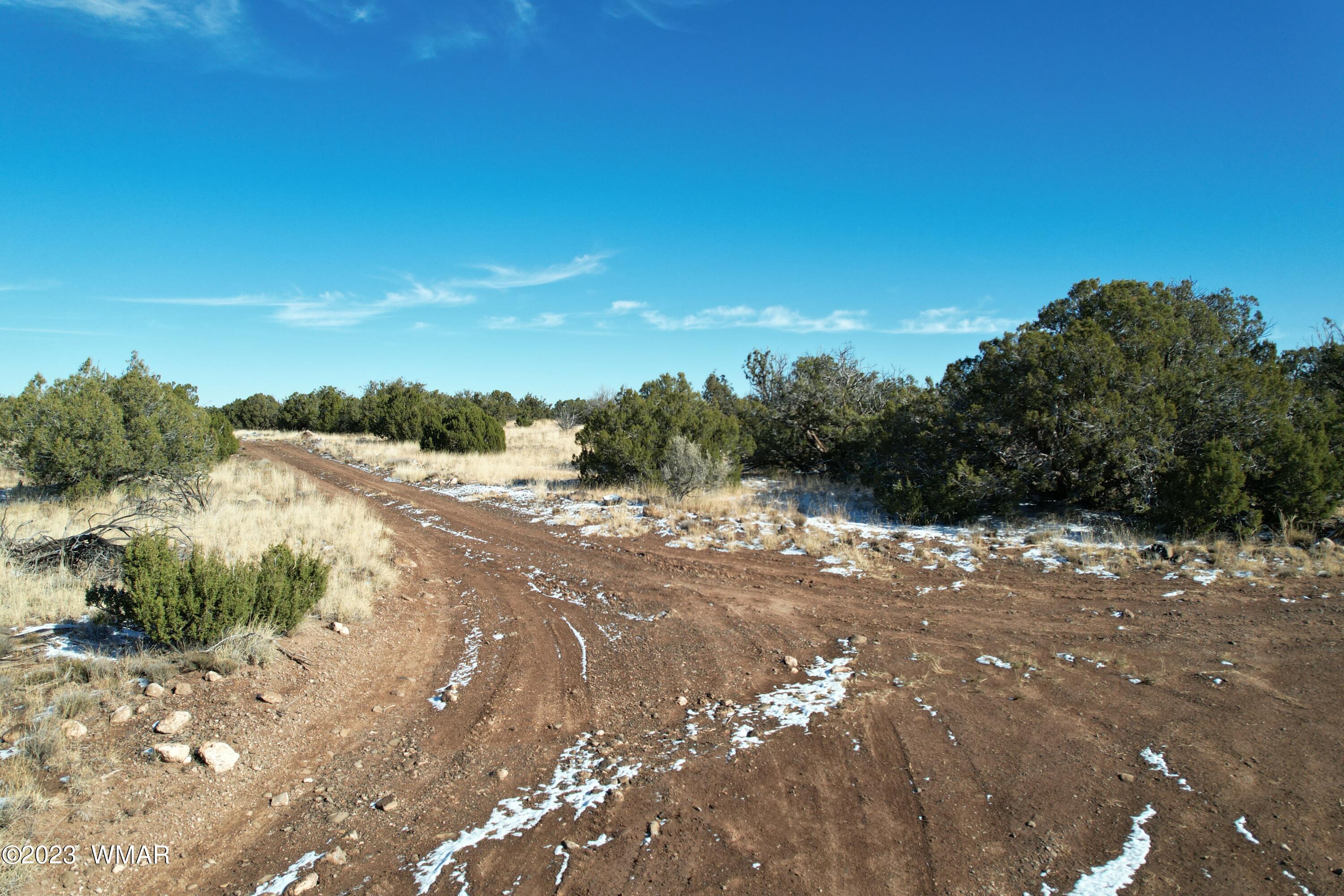 Pinon Pinon Valley Ranch Concho, AZ 85924 - Photo 15 of 42