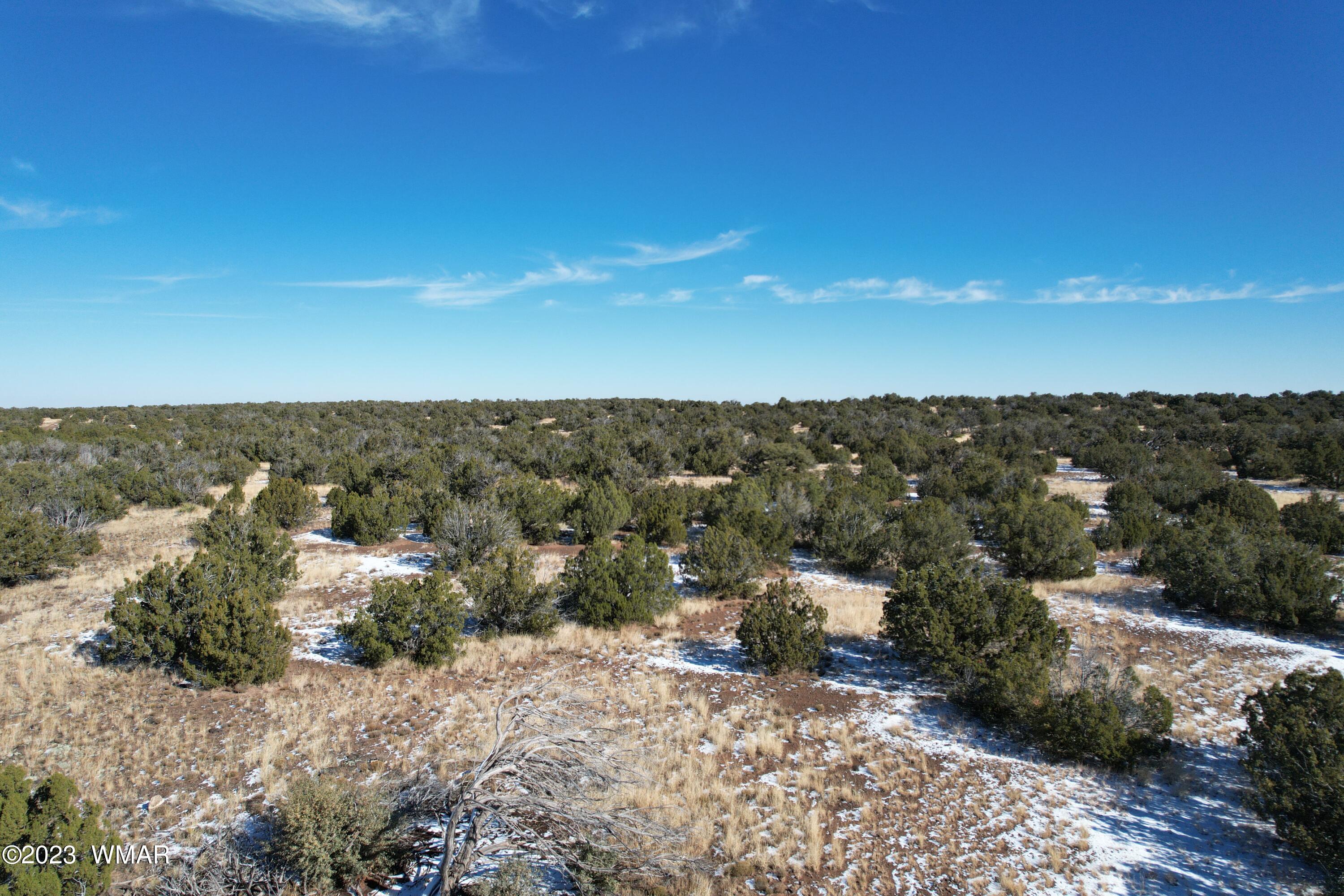 Pinon Pinon Valley Ranch Concho, AZ 85924 - Photo 16 of 42