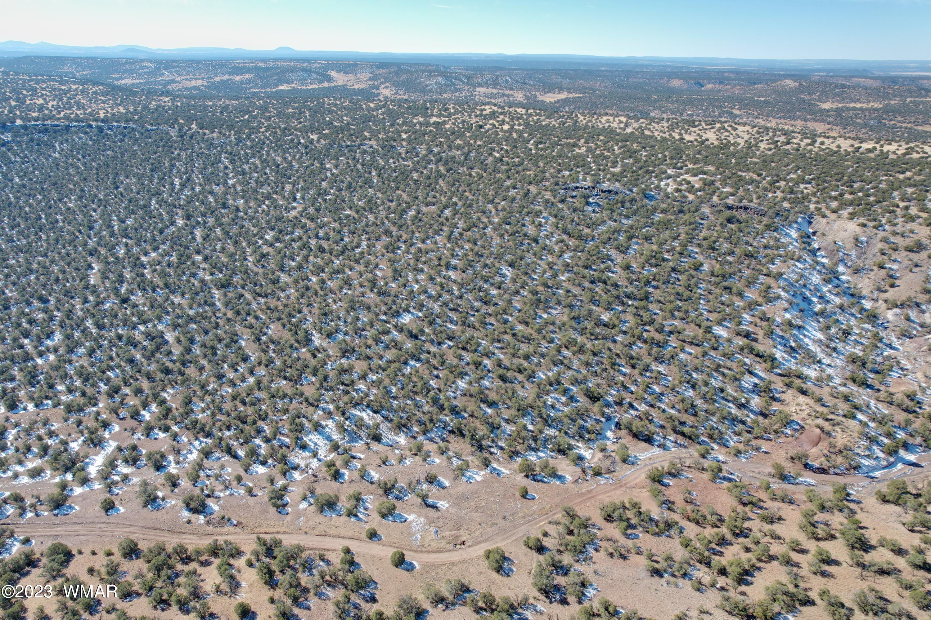 Pinon Pinon Valley Ranch Concho, AZ 85924 - Photo 19 of 42