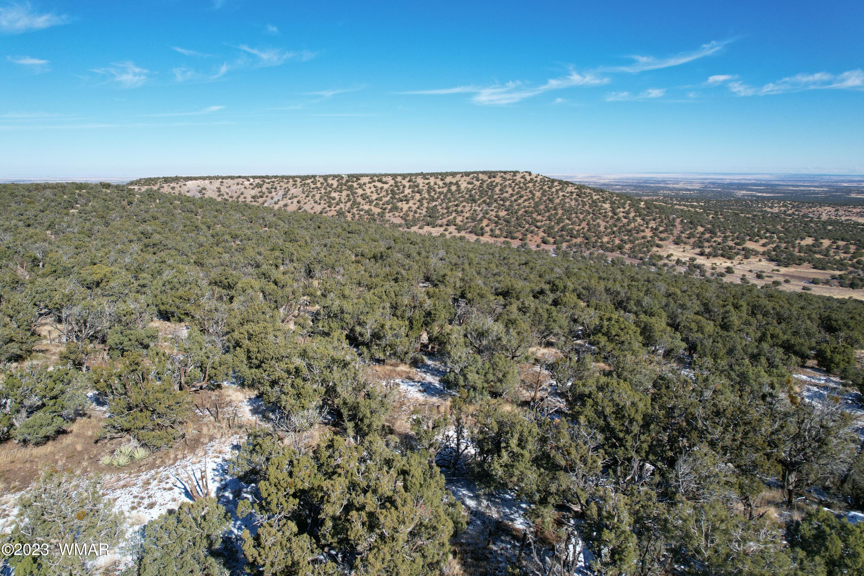 Pinon Pinon Valley Ranch Concho, AZ 85924 - Photo 2 of 42